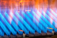 Ravenscar gas fired boilers